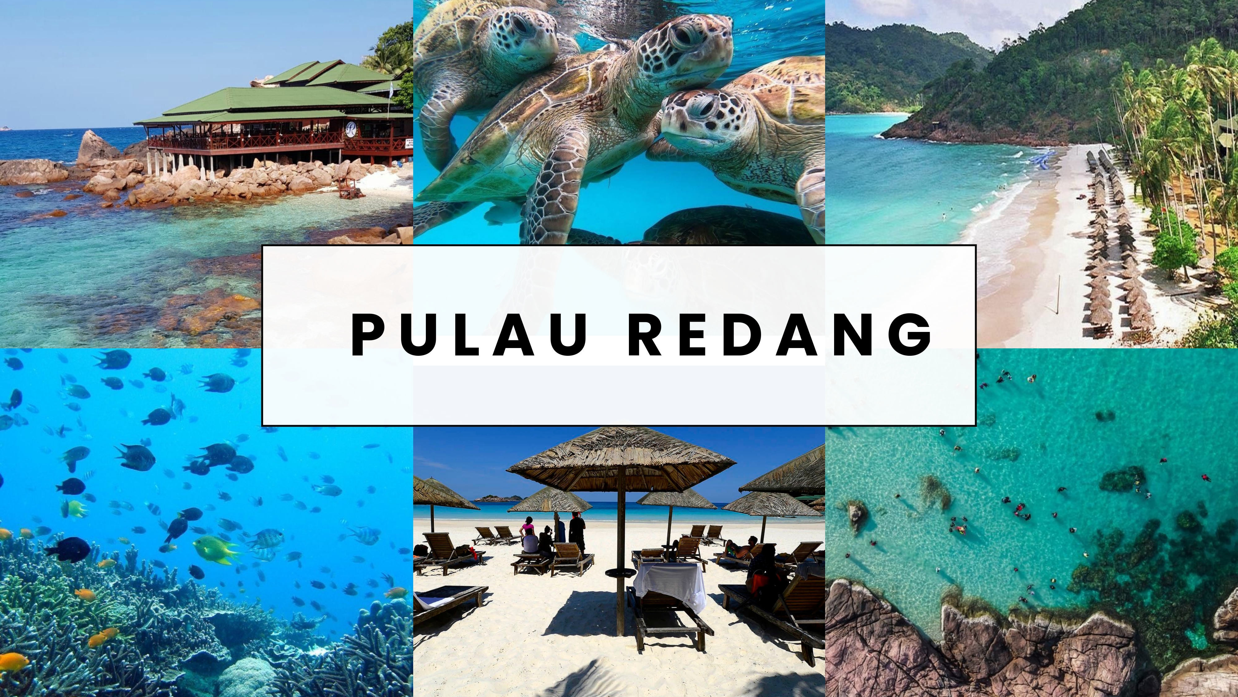 Redang